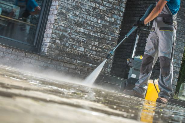 Professional Pressure Washing in Elkton, MD